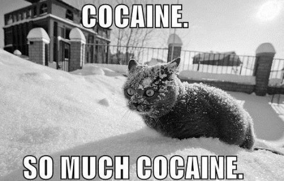 Perdaug cocaine ;D