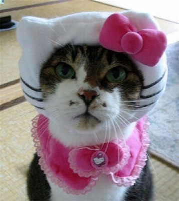 Hello Kitty ;D